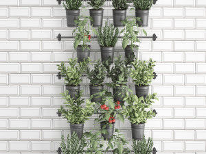decorative plants for the kitchen on railing 3802 Modelo 3D