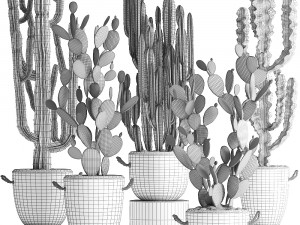 collection of exotic cactus plants 386 3D-Modell