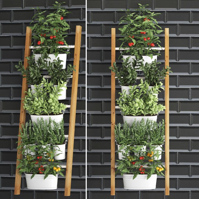 decorative plants for the kitchen on railing 35 Model 3D .c4d .max .obj .3ds .fbx .stl .blend 