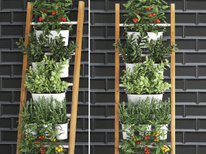 decorative plants for the kitchen on railing 35 3D Model