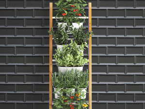 decorative plants for the kitchen on railing 35 Model 3D