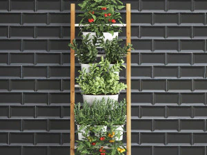 decorative plants for the kitchen on railing 35 3D Model