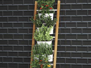 decorative plants for the kitchen on railing 35 Model 3D