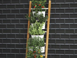 decorative plants for the kitchen on railing 35 3D Model