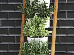 decorative plants for the kitchen on railing 35 Model 3D