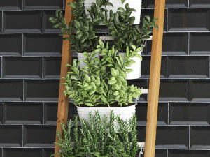 decorative plants for the kitchen on railing 35 3D Model