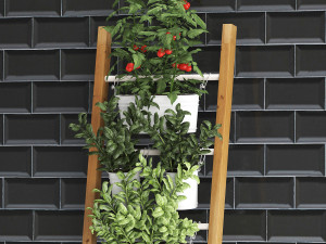 decorative plants for the kitchen on railing 35 Model 3D