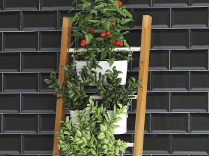 decorative plants for the kitchen on railing 35 3D Model