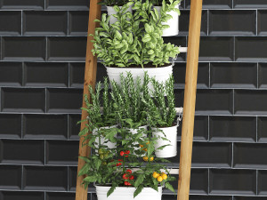 decorative plants for the kitchen on railing 35 Model 3D
