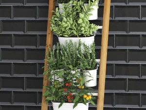 decorative plants for the kitchen on railing 35 3D Model