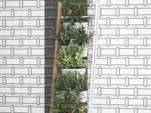 decorative plants for the kitchen on railing 35 Model 3D