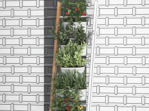 decorative plants for the kitchen on railing 35 3D Model