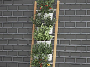 decorative plants for the kitchen on railing 35 3D Model