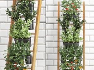 plantas decorativas para cozinha em grade 36 Modelo 3D