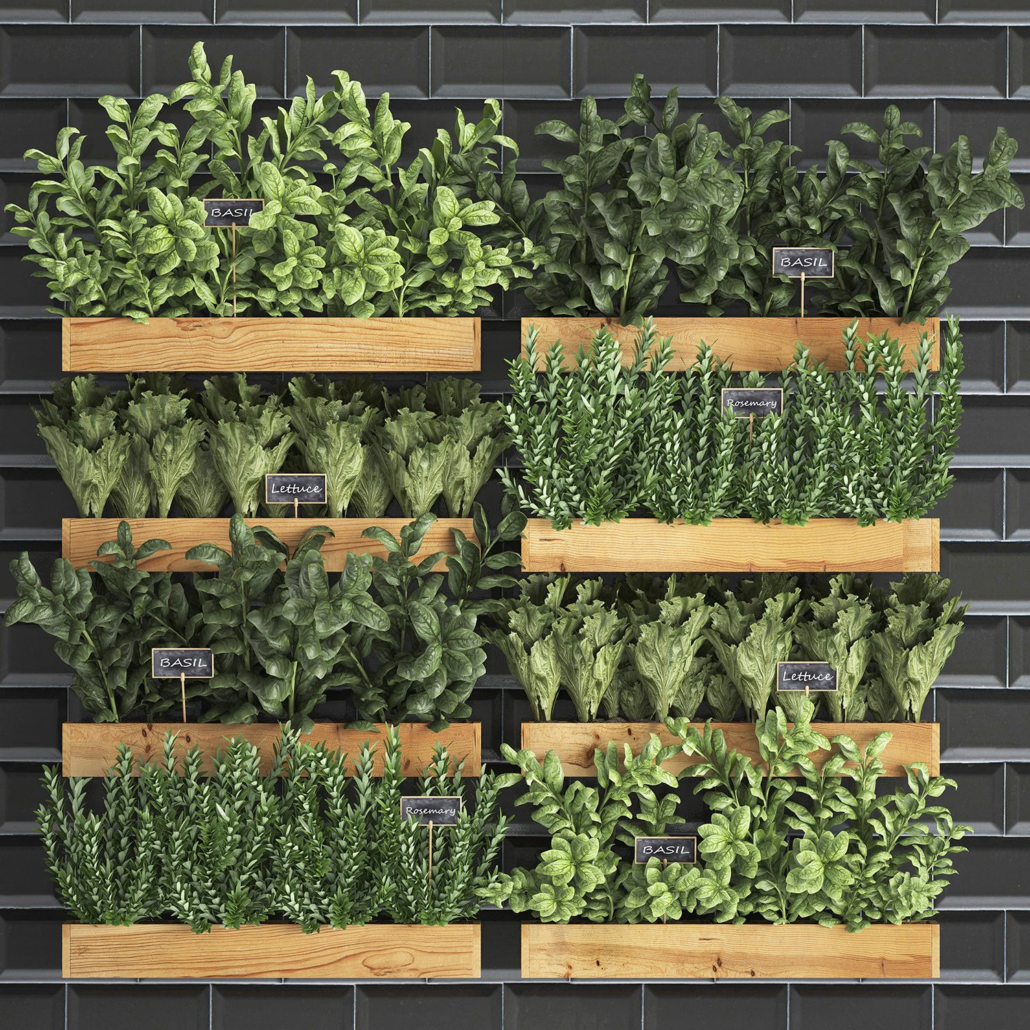 decorative plants for the kitchen on wooden box 37 3D Model .c4d .max .obj .3ds .fbx .stl .blend