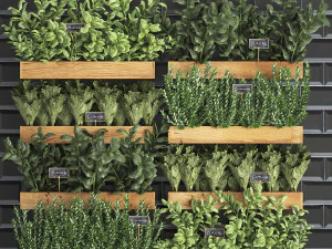 plantas decorativas para cozinha em caixa de madeira 37 Modelo 3D