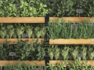 decorative plants for the kitchen on wooden box 37 Modelo 3D