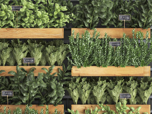 decorative plants for the kitchen on wooden box 37 Modelo 3D