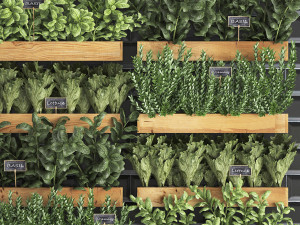 decorative plants for the kitchen on wooden box 37 Modelo 3D
