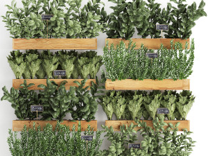 decorative plants for the kitchen on wooden box 37 Modelo 3D