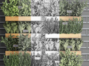 decorative plants for the kitchen on wooden box 37 3D Model