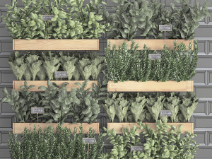 decorative plants for the kitchen on wooden box 37 Modelo 3D