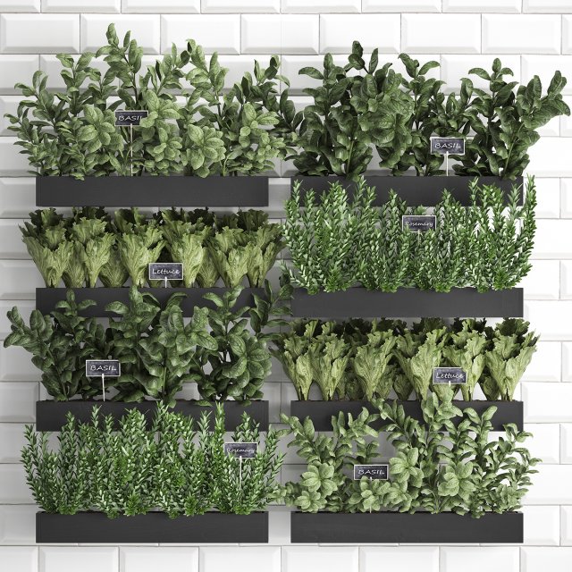 decorative plants for the kitchen on wooden box 38 3D Model .c4d .max .obj .3ds .fbx .stl .blend 