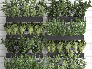 decorative plants for the kitchen on wooden box 38 3D Model