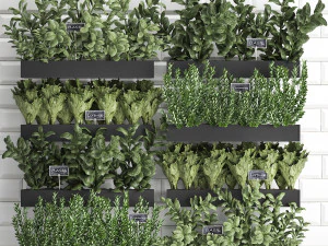 plantas decorativas para cozinha em caixa de madeira 38 Modelo 3D