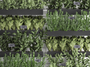 decorative plants for the kitchen on wooden box 38 3D Model