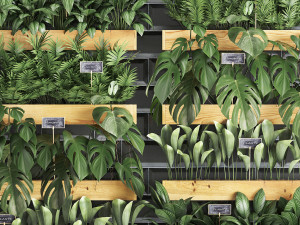 wooden flower boxes wall decor vertical garden 39 3D Модель
