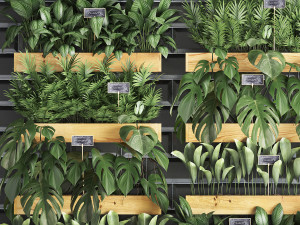 wooden flower boxes wall decor vertical garden 39 3D Модель