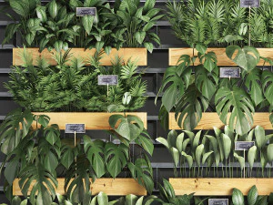 wooden flower boxes wall decor vertical garden 39 3D Model