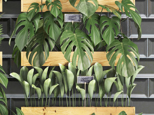 wooden flower boxes wall decor vertical garden 39 3D Модель
