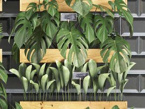 wooden flower boxes wall decor vertical garden 39 3D Model