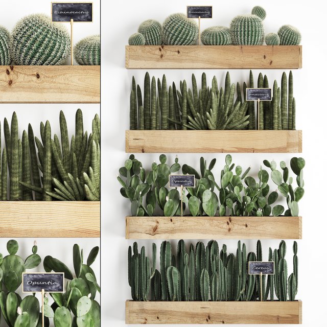 wooden flower boxes wall decor vertical garden 42 3Dモデル .c4d .max .obj .3ds .fbx .stl .blend 