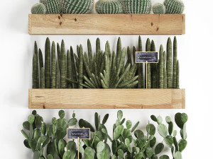 wooden flower boxes wall decor vertical garden 42 3D Model