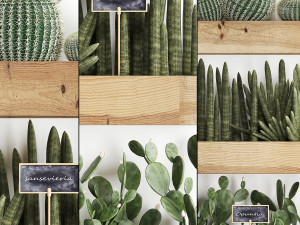 wooden flower boxes wall decor vertical garden 42 3Dモデル