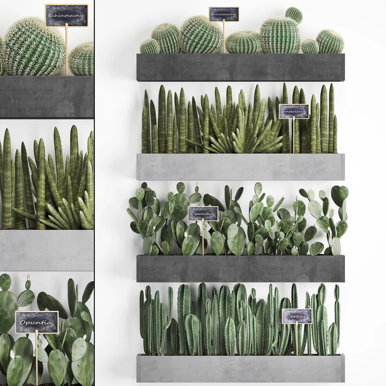 cactus set wall decor vertical garden 43 3D Model .c4d .max .obj .3ds .fbx .stl .blend 