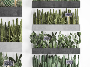 cactus set wall decor vertical garden 43 Modelo 3D