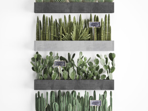 cactus set wall decor vertical garden 43 Modelo 3D