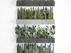 cactus set wall decor vertical garden 43 3D Model