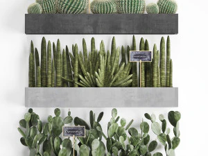 cactus set wall decor vertical garden 43 3D Model