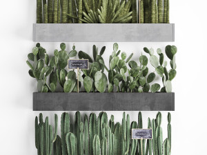 cactus set wall decor vertical garden 43 Modelo 3D