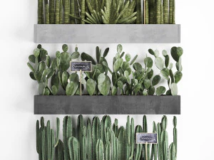 cactus set wall decor vertical garden 43 3D Model