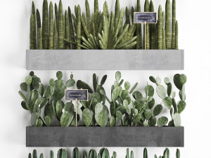 cactus set wall decor vertical garden 43 Modelo 3D