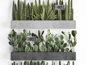 cactus set wall decor vertical garden 43 3D Model