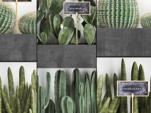 cactus set wall decor vertical garden 43 3D Model