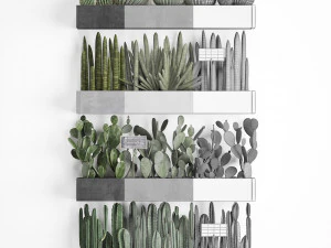 cactus set wall decor vertical garden 43 3D Model
