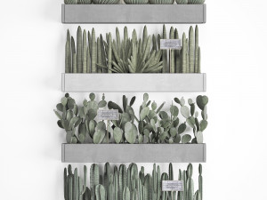 cactus set wall decor vertical garden 43 Modelo 3D